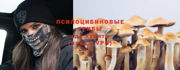 мескалин Богородск