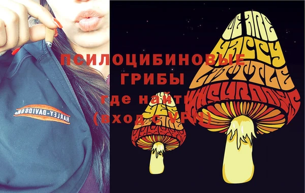 метамфетамин Богородицк