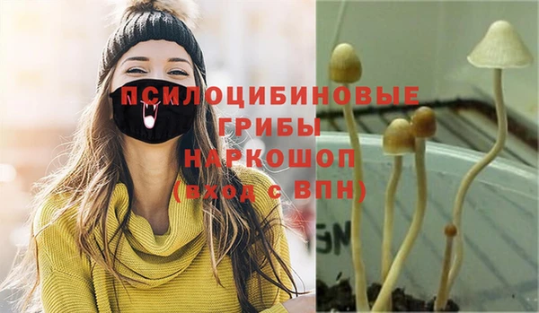 гидропоника Богданович