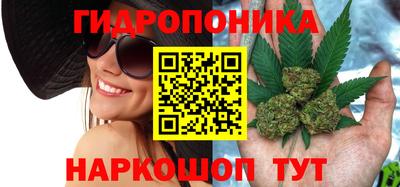 мескалин Гай