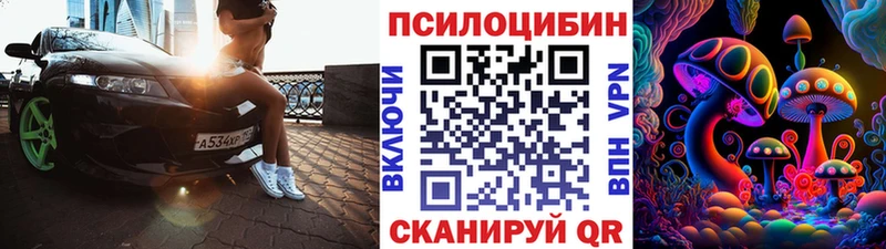 Купить закладки  Алапаевск  Псилоцибиновые грибы Psilocybine cubensis 