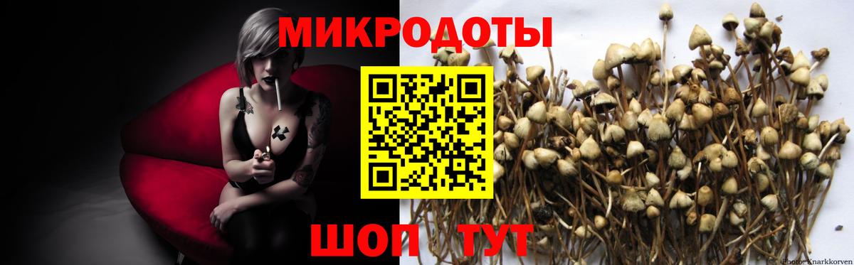 Галлюциногенные грибы ЛСД  закладки  Алапаевск  Галлюциногенные грибы Cubensis  Вход с VPN 